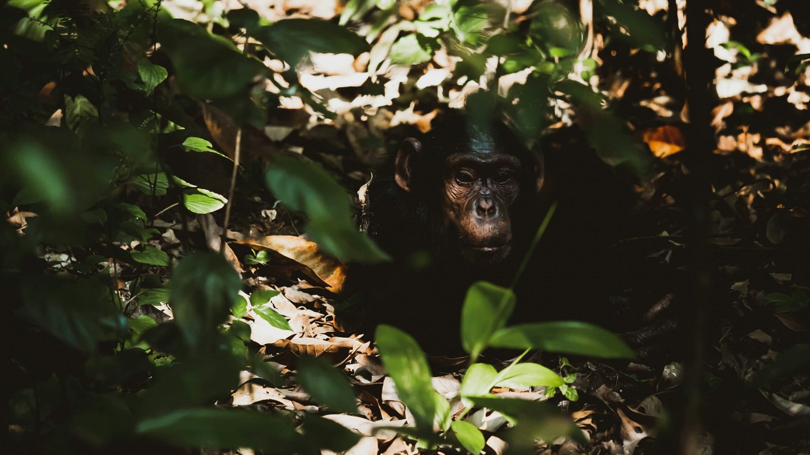 2h media h5nm9q6uwts unsplash