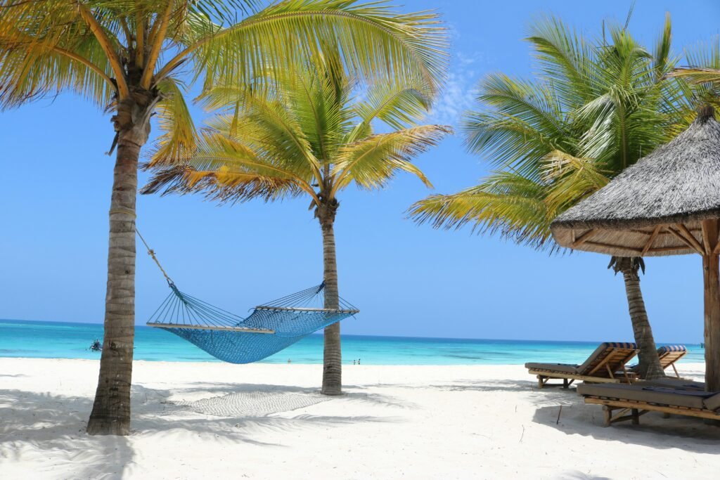 Discover Kenya: Luxury Safari & Beach Getaway in One Incredible Trip