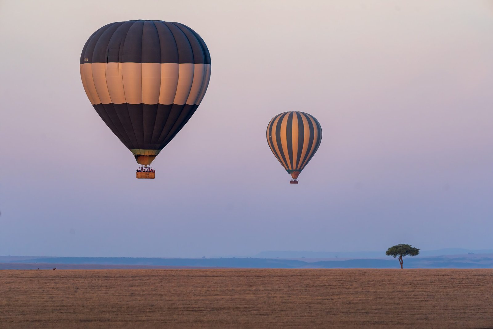 boopathi rajaa nedunchezhiyan qm qphujuky unsplash