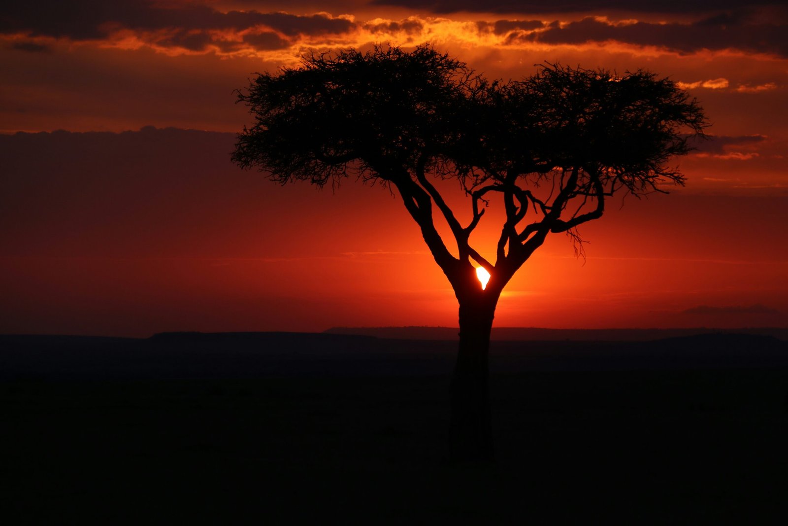 david heiling o17rr0kwzfy unsplash