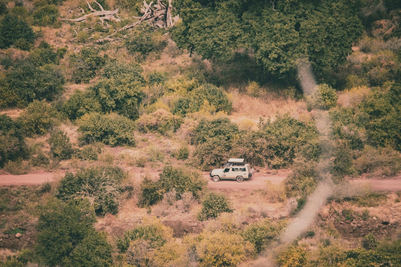 denice alex 9cfcwtqssny unsplash