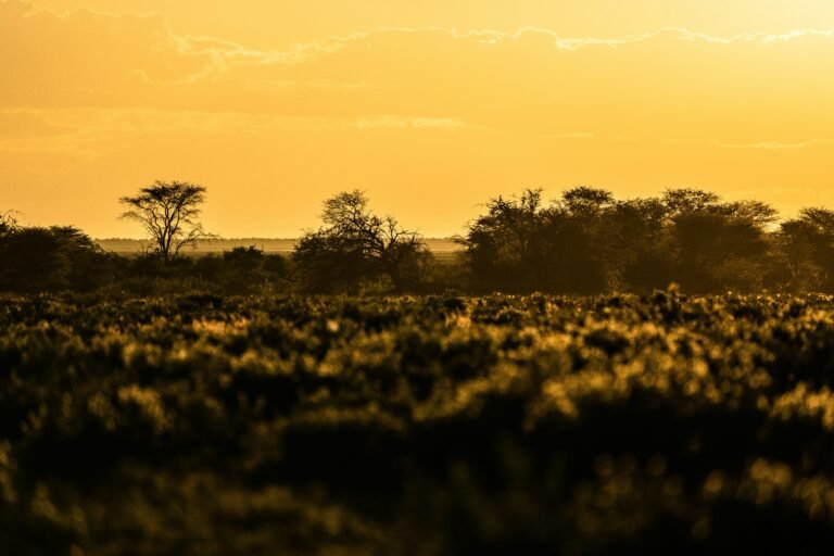 eelco bohtlingk mejcpgntxyy unsplash