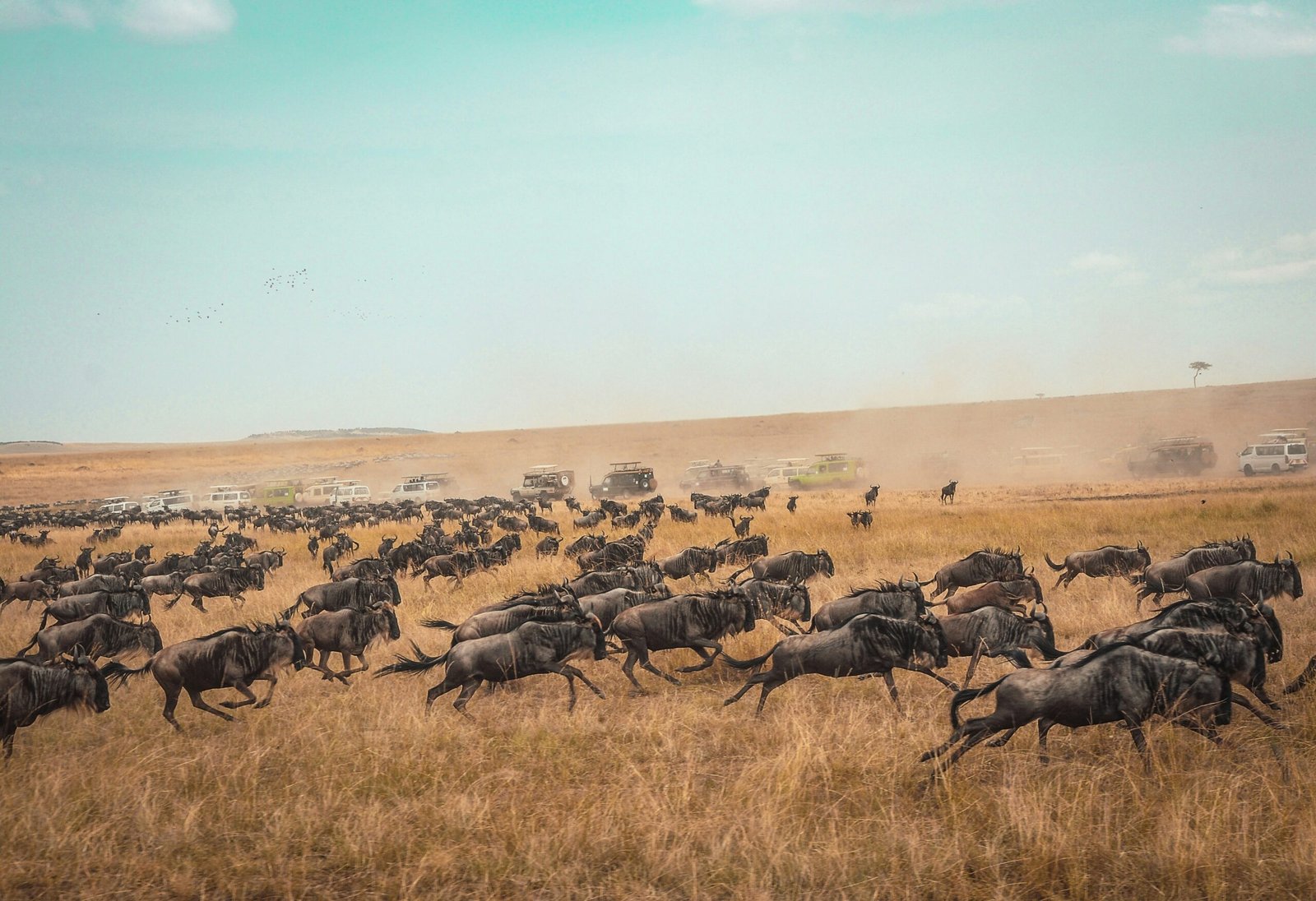 harshil gudka akcvssdotgo unsplash