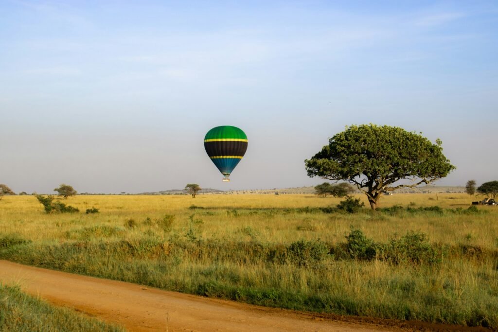 hashim mbita gg javeq 4u unsplash