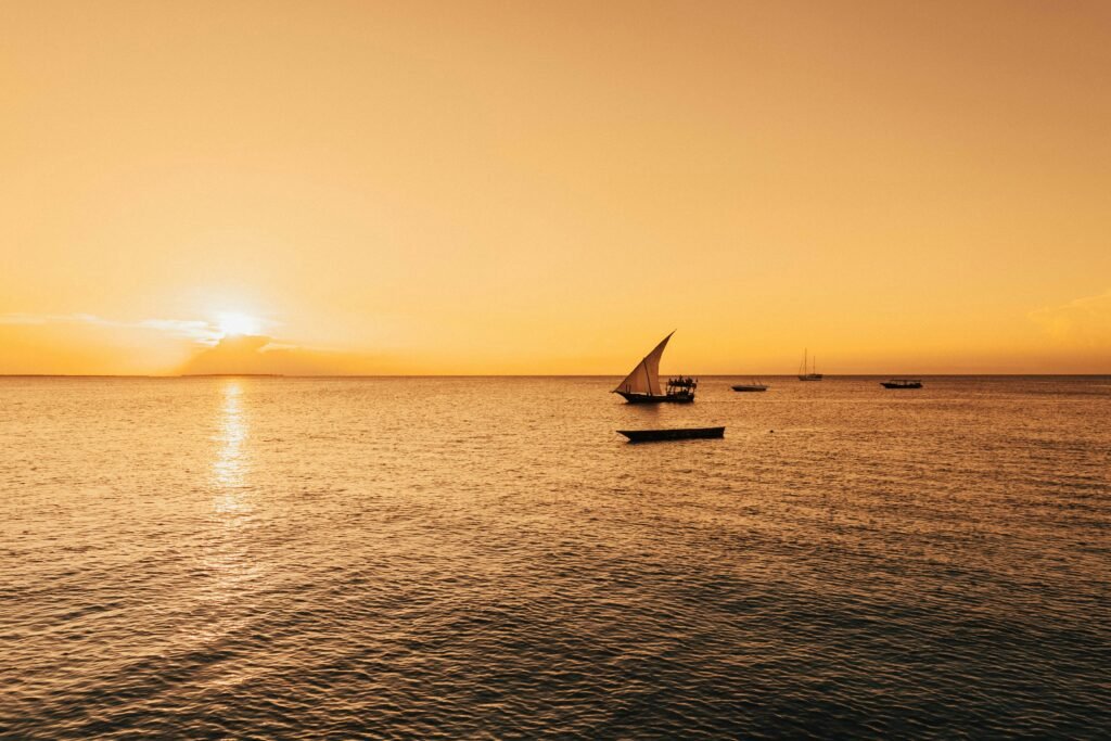 humphrey m e5hzqubib68 unsplash