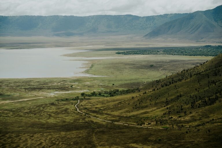 matthew stephenson blqtc jzrly unsplash