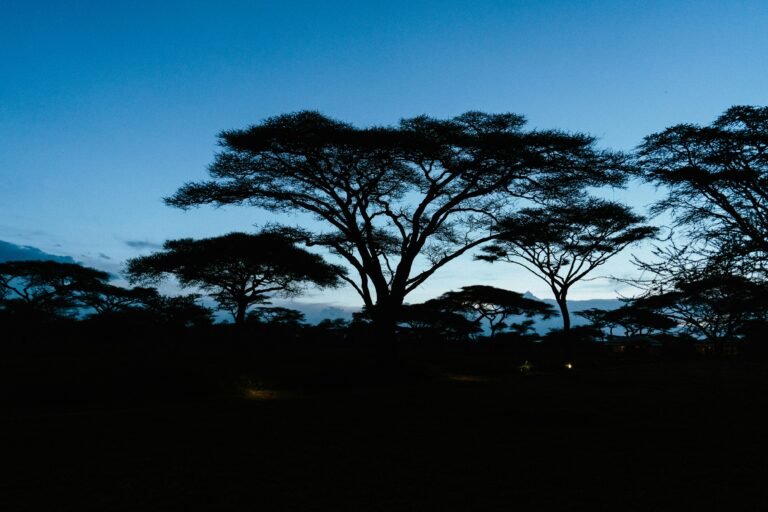 peter thomas tusmperji60 unsplash