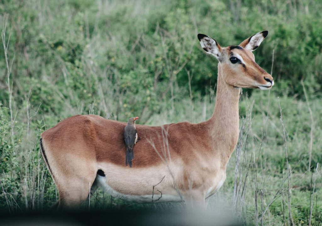 wade lambert 4ctrkenq63u unsplash