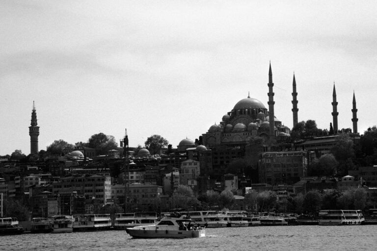 amir komaee nfhlvp5qp e unsplash